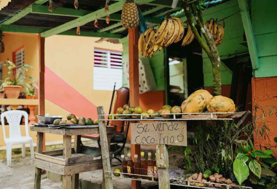 House of fruit